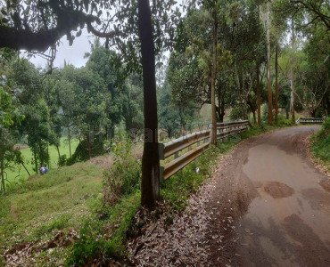 for sale  in thempalam (minimum 30 cents(2lac/cent) kolli hills