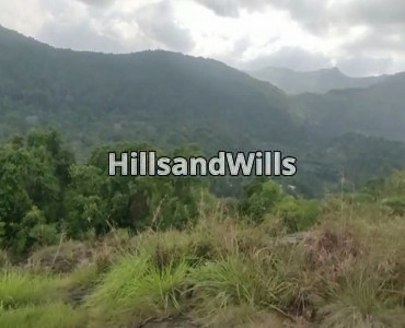 183 cents agriculture land for sale in thandikudi kodaikanal