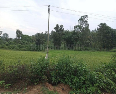 210 acres agriculture land for sale in jamui simultala