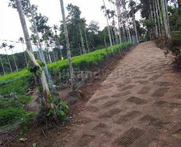 1 acres residential plot for sale in sulthan bathery wayanad