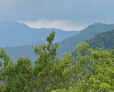 3bhk farm house for sale  in madikeri coorg