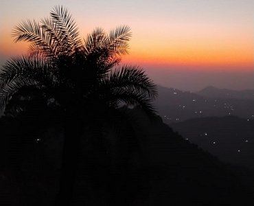 12 bigha agriculture land for sale kasauli hills solan 12 bigha agriculture land for sale kasauli hills solan