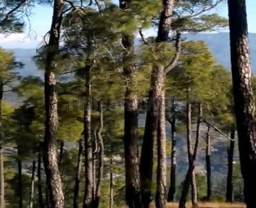 residential plot for sale in almora near nainital