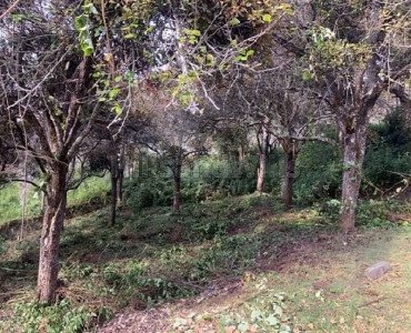 13.67 cents residential plot for sale in fairy falls road, pambarpuram kodaikanal