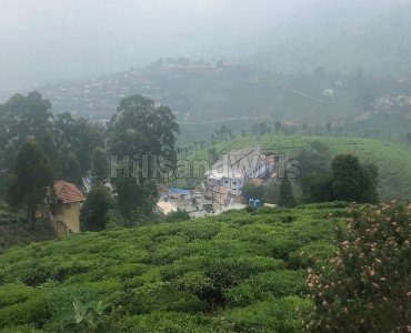 tea estate for sale  in selas coonoor