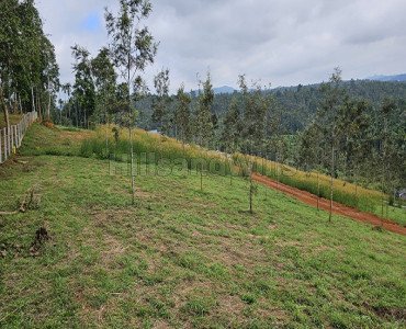 20 cents residential plot for sale  in vaduvanchal wayanad