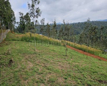 20 cents residential plot for sale in vaduvanchal wayanad