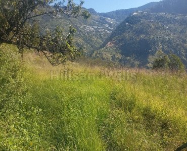 3 bigha agriculture land for sale in rampur bushahr shimla