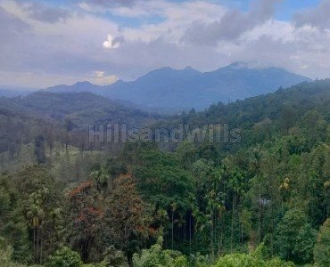 53 cents residential plot for sale  in chunda wayanad