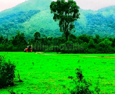 4 acres agriculture land for sale in mudigere chikmagalur