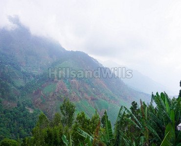 8 acres agriculture land for sale  in kodaikanal