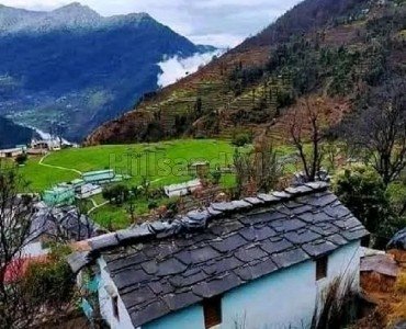 10 nali agriculture land for sale  manila near almora / nainital