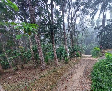 158 cents residential plot for sale  in bathery wayanad
