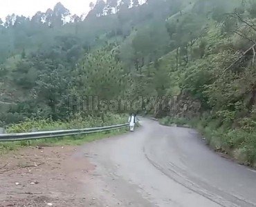 50 biswa commerical land for sale  in ptiud shimla