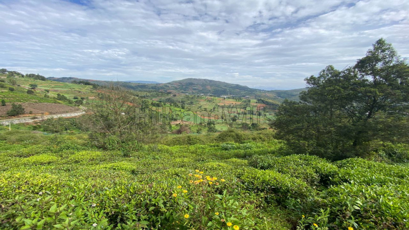 ₹48 Lac | 38 cents agriculture land for sale in denaducombai ooty