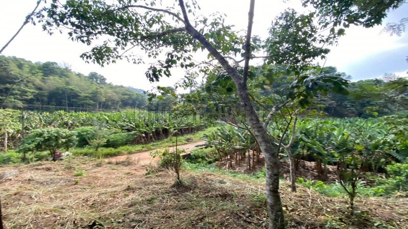 ₹28.70 Lac | 82 cents residential plot for sale  in mananthavady wayanad