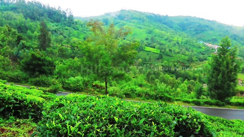 ₹42 Lac | 28 cents Residential Plot For Sale in Near Dhenallai Coonoor