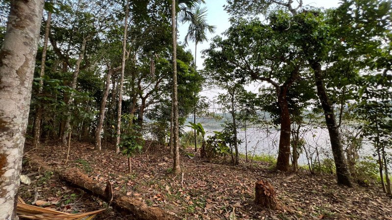 ₹48 Lac | 30 cents residential plot for sale  in karapuzha wayanad