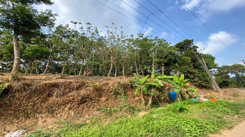 ₹28.70 Lac | 82 cents residential plot for sale  in mananthavady wayanad