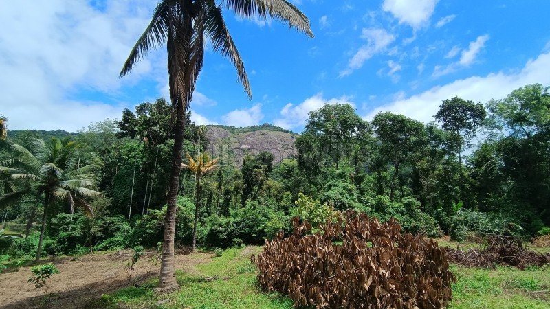 ₹1.80 Cr | 80 cents residential plot for sale  in kalpetta wayanad