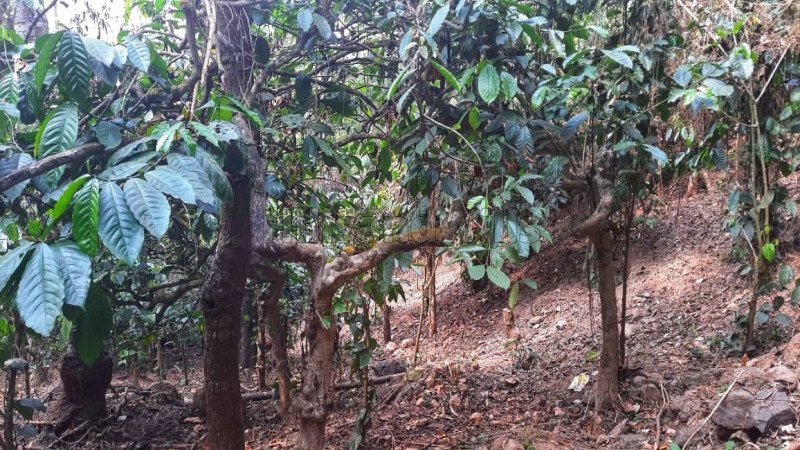 ₹2.09 Cr | 53 cents residential plot for sale  in kattapana idukki