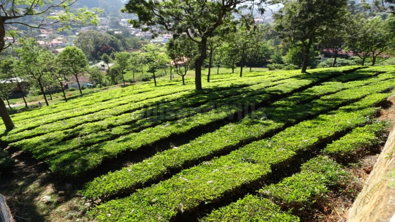 ₹80 Lac | 4800 sq.ft. Residential Plot For Sale in Coonoor