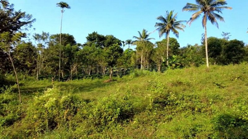 ₹20 Lac | 1 acres residential plot for sale  in valavayal wayanad