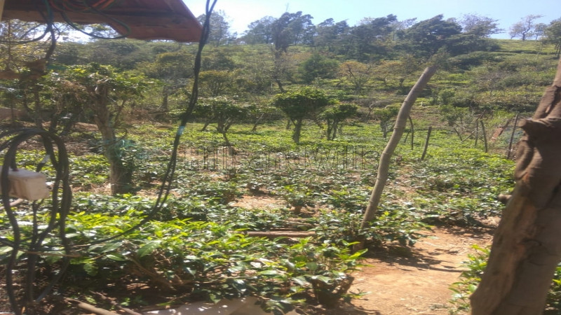 ₹1 Cr | 45 cents Agriculture Land For Sale in Coonoor
