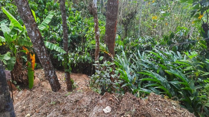 ₹2.09 Cr | 53 cents residential plot for sale  in kattapana idukki