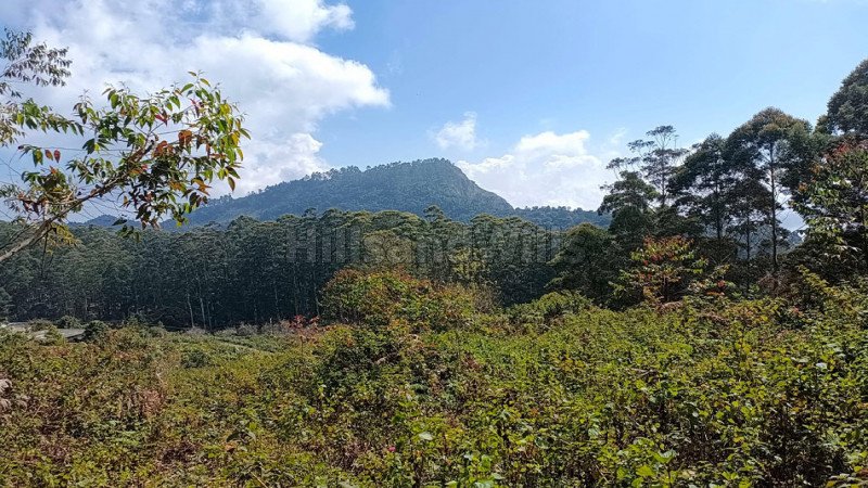 ₹11.54 Lac - 64.35 Lac | 520 sq.ft. - 2899 sq.ft. residential plot for sale  in senbaganur kodaikanal
