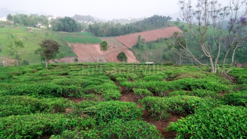 ₹2.10 Cr | 2bhk independent house for sale  in kotagiri