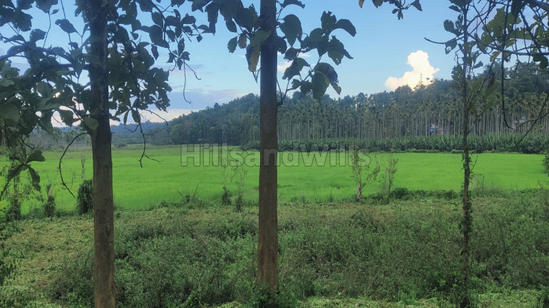 ₹90 Lac | 72 cents residential plot for sale in panamaram wayanad