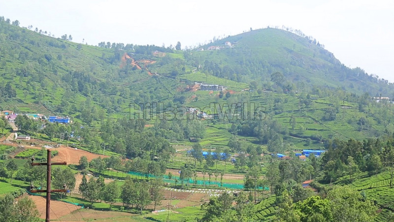 ₹35 Lac | 25 cents Residential Plot For Sale in Kethouri, Ooty