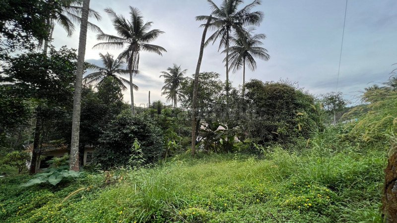 ₹1.20 Cr | 20 cents commerical land for sale  in mananthavady wayanad