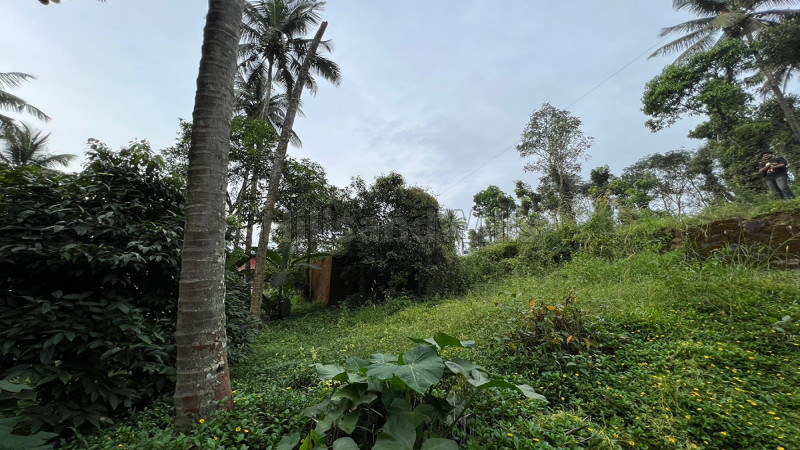 ₹1.20 Cr | 20 cents commercial land  for sale in mananthavady wayanad