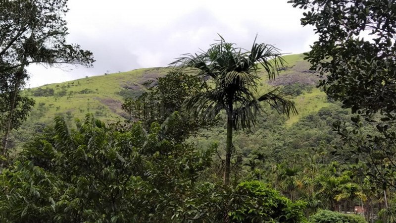 ₹50 Lac | 1 acres residential plot for sale  in padinjarathara wayanad