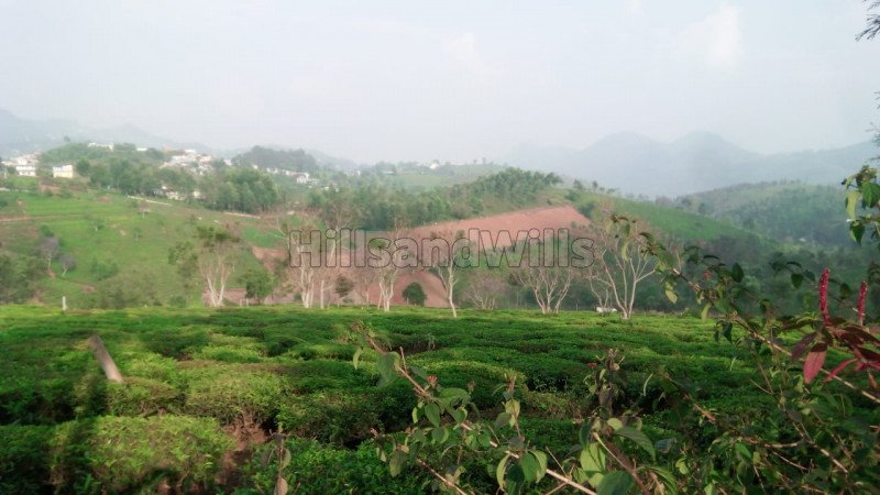 ₹2.10 Cr | 2bhk independent house for sale  in kotagiri