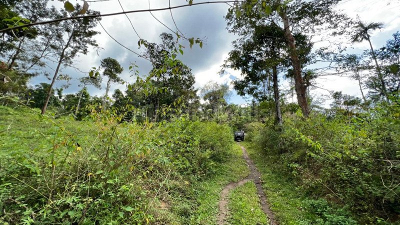₹43.20 Lac | 96 cents residential plot for sale  in pulpally wayanad