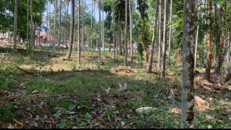 ₹80 Lac | 2.5 acres residential plot for sale  in muthanga wayanad