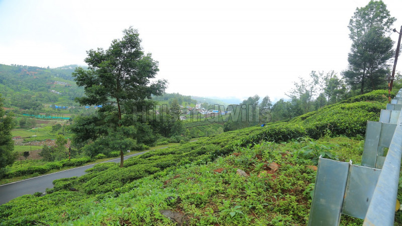 Residential Plot For Sale in Dhenallai Coonoor