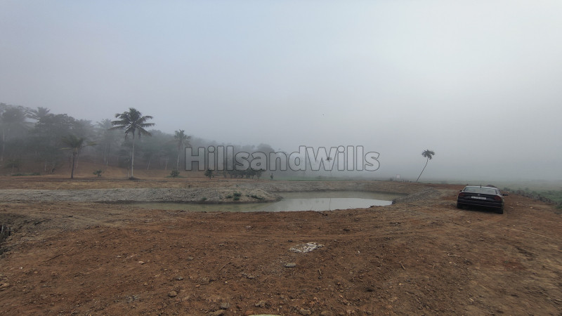 20 cents residential plot for sale in kenichira wayanad