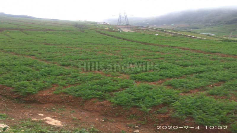 ₹38.25 Lac - 39 Lac | 12 Cents - 13 Cents | Residential Plot For Sale in Ooty