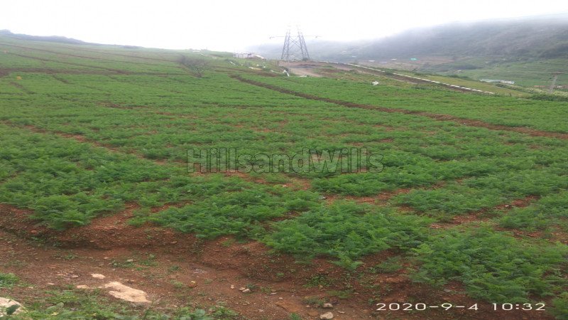 ₹38.25 Lac - 39 Lac | 12 Cents - 13 Cents | residential plot for sale in ooty