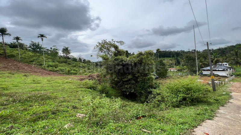 ₹1.37 Cr | 50 cents commercial land  for sale in kalpetta wayanad