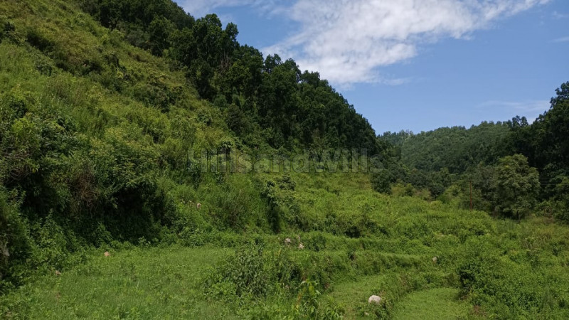 ₹1.50 Cr | 120 nali agriculture land for sale in yamkeswar gahil rishikesh