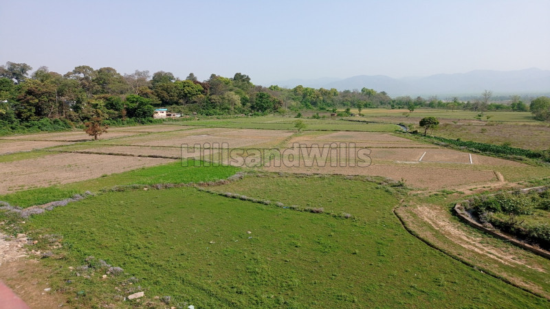 ₹25.50 Lac | 150 sq.yards Residential Plot For Sale in Lachhiwala Doiwala Dehradun