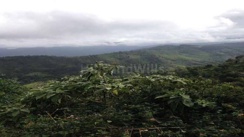 ₹1.20 Cr | 1.5 acres Agriculture Land For Sale in bengalmattam Ooty