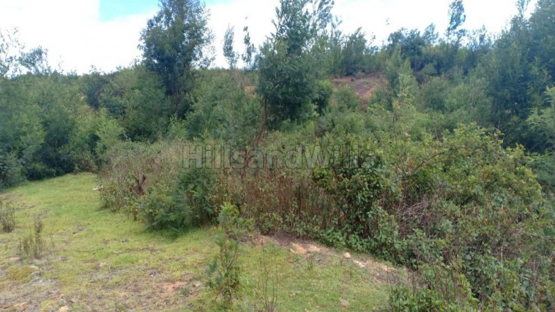 ₹70 Lac | 1.2 acres residential plot for sale in hullathi ooty