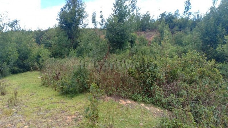 ₹70 Lac | 1.2 acres residential plot for sale  in hullathi ooty