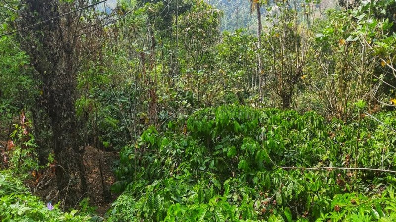 ₹2.09 Cr | 53 cents residential plot for sale  in kattapana idukki